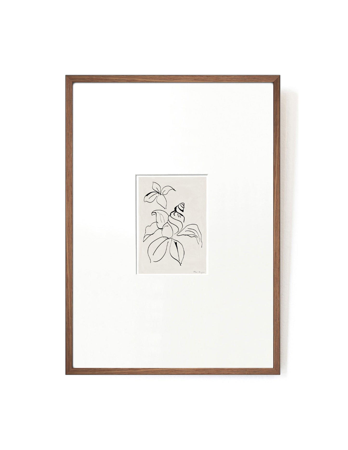 Shell Flower card artwork framed-FRAME MAHOGANY-Hôtel Magique