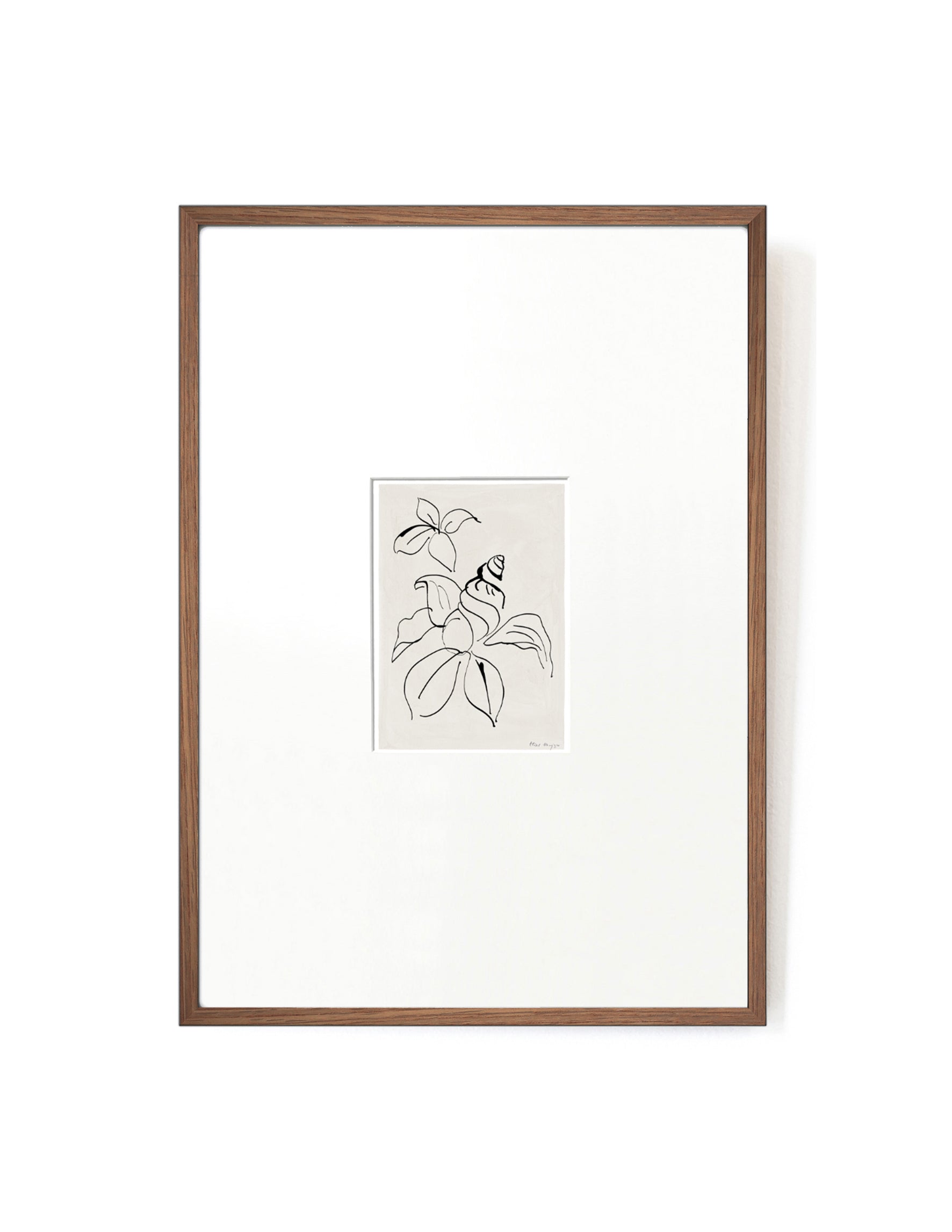 Shell Flower card artwork framed-FRAME MAHOGANY-Hôtel Magique