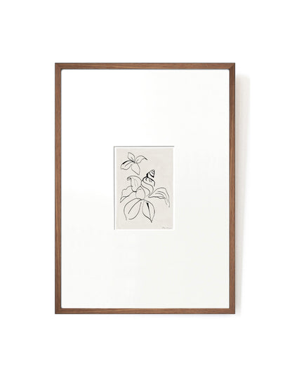 Shell Flower card artwork framed-FRAME MAHOGANY-Hôtel Magique