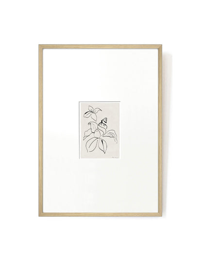 Shell Flower card artwork framed-FRAME OAK-Hôtel Magique