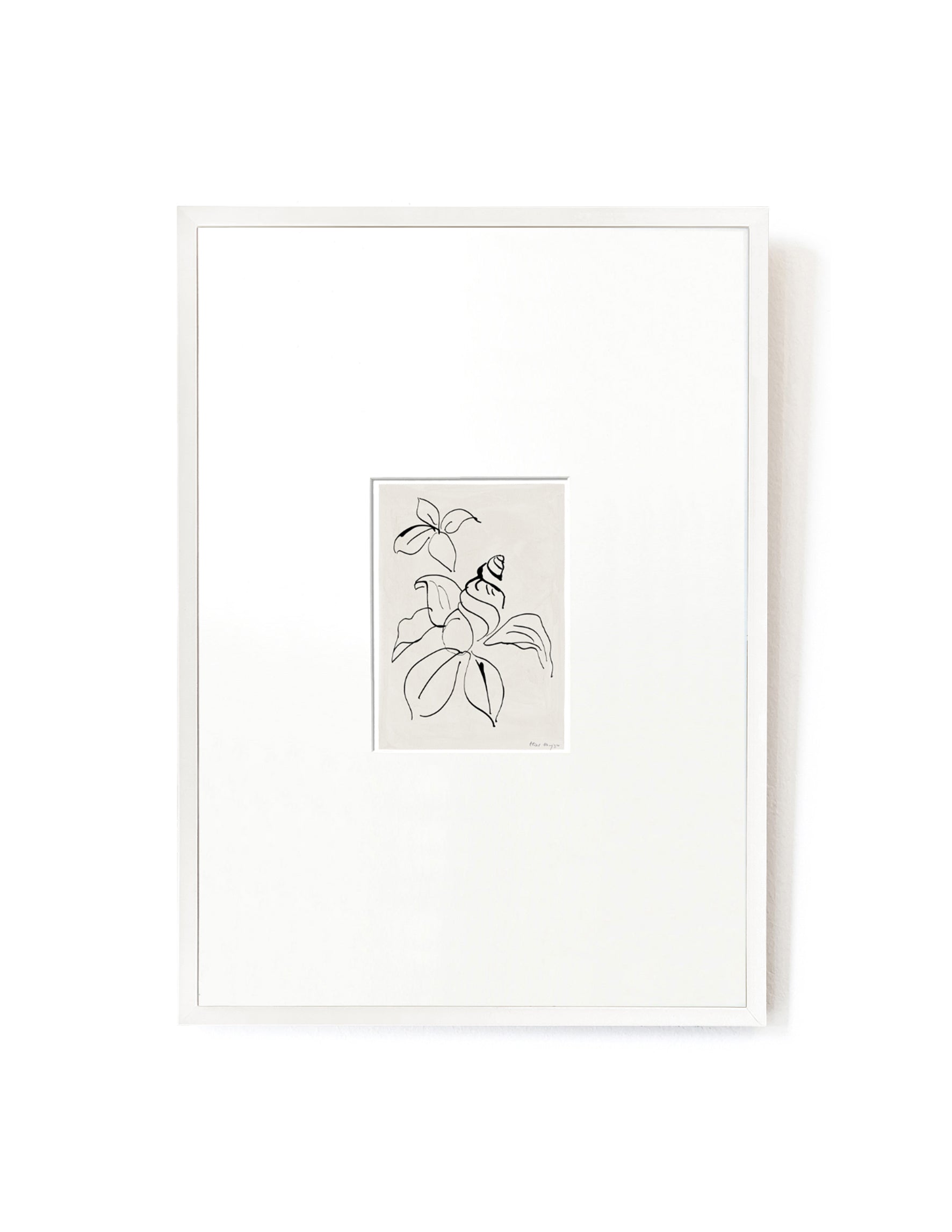 Shell Flower card artwork framed-FRAME WHITE-Hôtel Magique