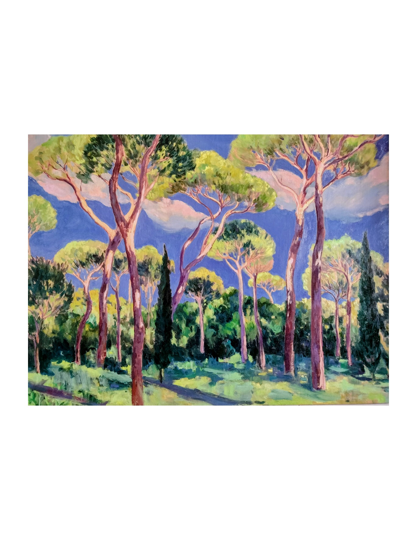 The Pine by Elodie Loiseleur