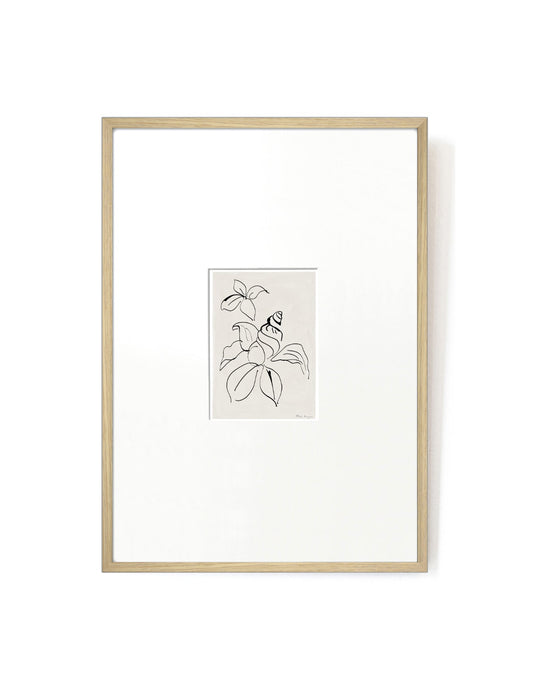 Shell Flower card artwork framed-FRAME OAK-Hôtel Magique